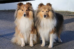 Die Eltern Cata und Lable