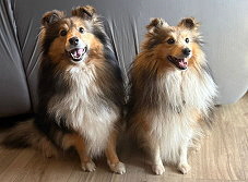 Die Eltern Hope und Lable