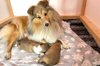 Stolze Mama Lotte