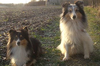 Dusty und Sunny im Dezember 2015