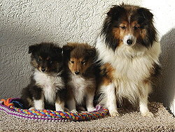 Mama Fjaska mit ihren beiden T�chterin