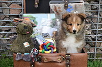 That�s True Magic Crazy Coconut Kiwi Cake, 8 Wochen alt