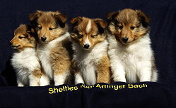 K2-Wurf vom Affinger Bach